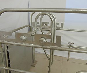 _0000_DSC08810