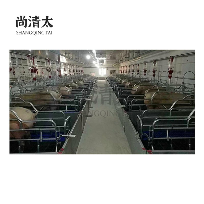 Farrowing Crate SQT-FC003