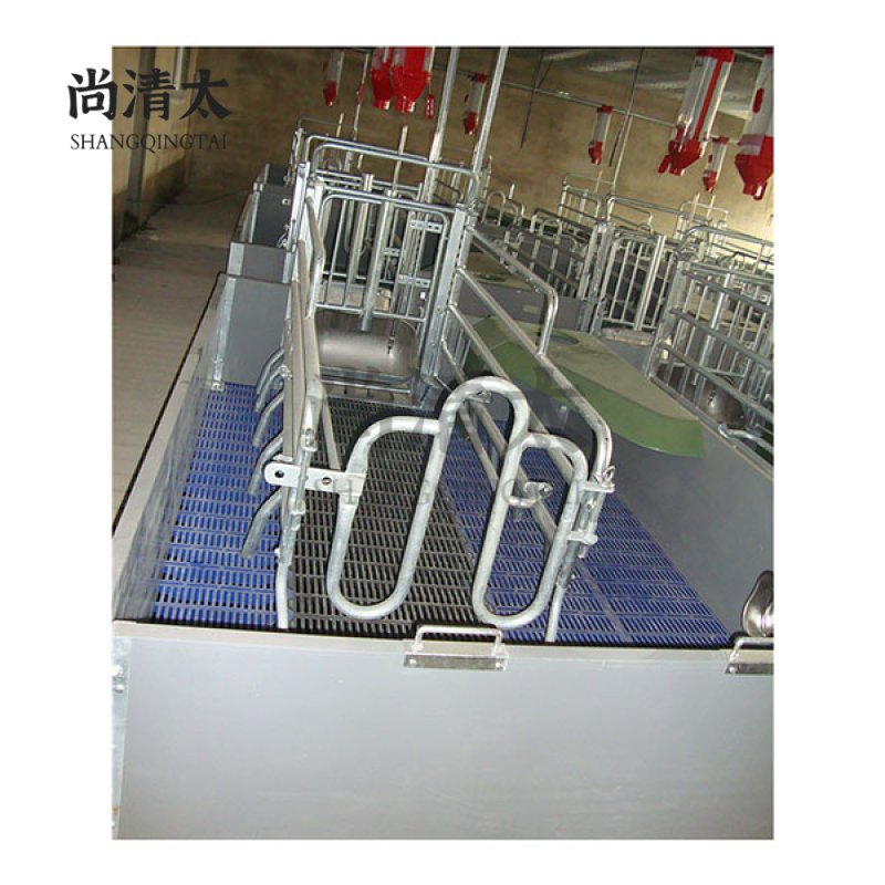 Farrowing Crate SQT-FC006