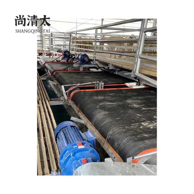 Fecal cleaning system