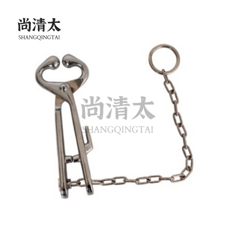 Bull-holder with Chain