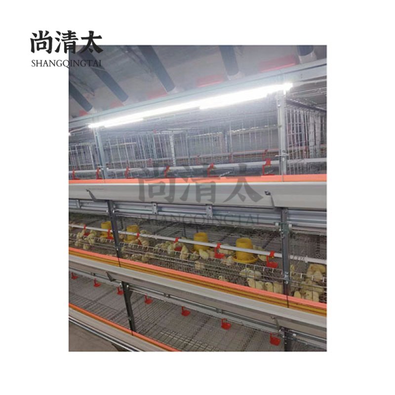 Automatic Cage System For Broiler