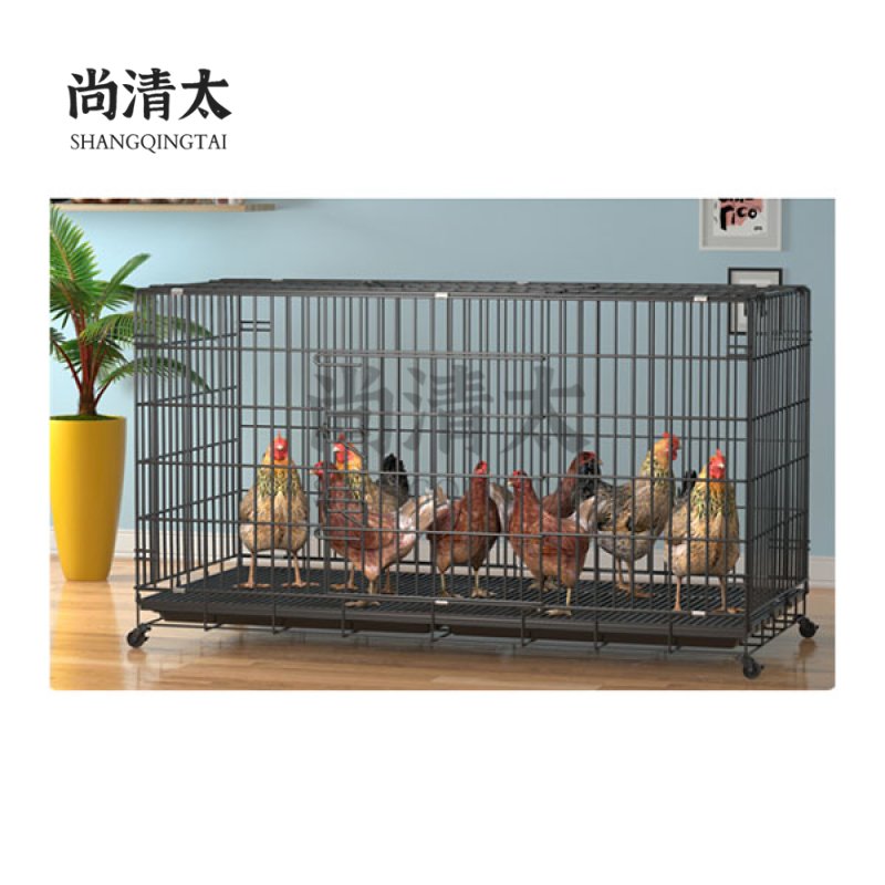 Independent Chicken Coop