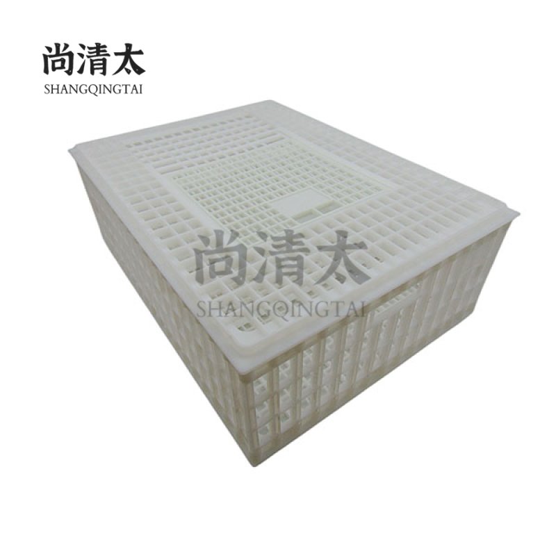 Adult Chicken Transport Cage 750x550x270mm