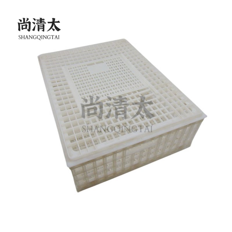 Adult Chicken Transport Cage 750x550x230mm