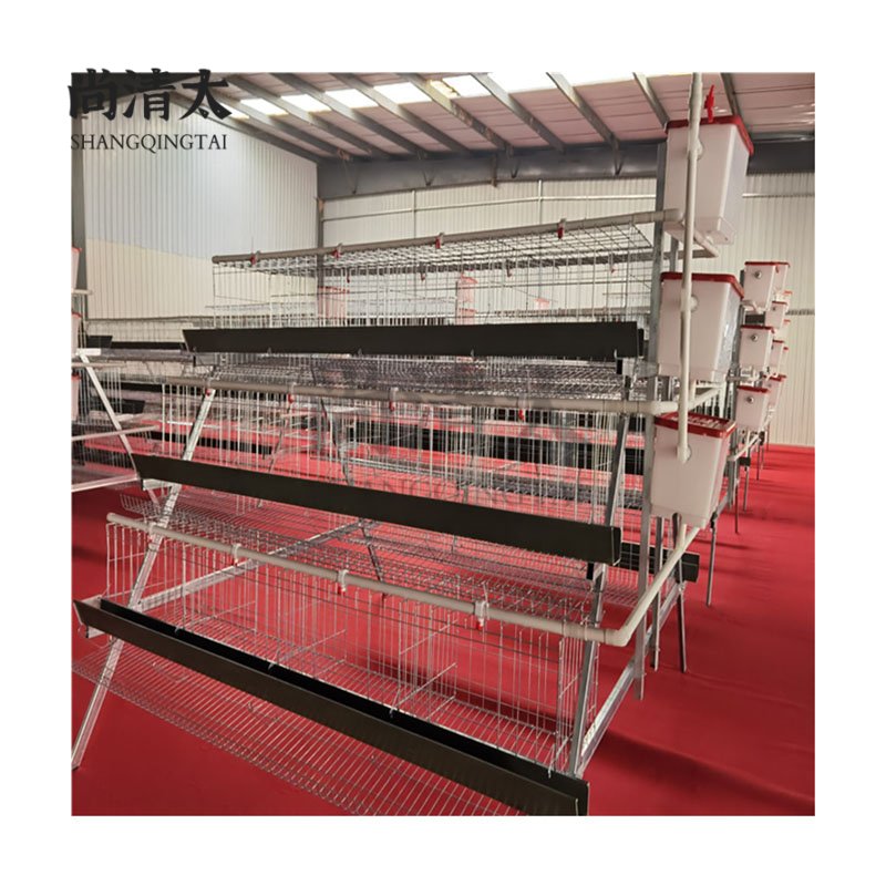 A-type Laying Chicken Cage 90 Chickens